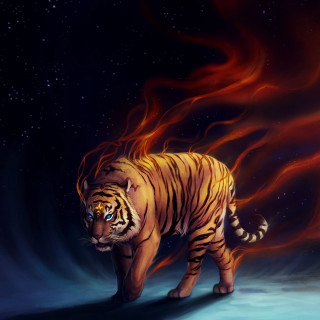 Tiger snow night sky stars - a tiger free wallpaper for tablet