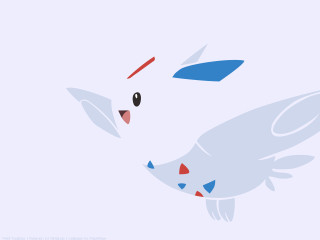 White bird red blue feathers - feather free wallpaper for desktop