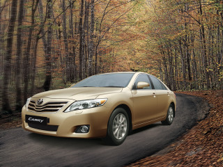 Gold toyota car driving woods - cleve gray free wallpaper