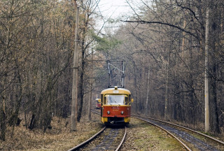Train forest skyline cable wires - a train traveling free wallpaper for desktop