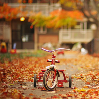 Red tricycle park fall leaves - free autumn wallpaper for tablet