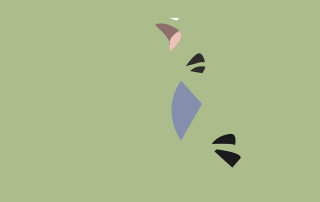 Green background blue pink design - a white bird free wallpaper for desktop