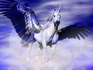 White unicorn winged halo floating - high fantasy free wallpaper