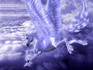 White horse wings flying sky - a white horse free wallpaper
