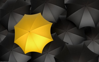 Yellow umbrella black umbrellas group - a yellow umbrella free wallpaper