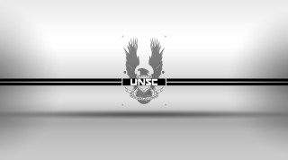 Black white bird wings head - photo of a bird free wallpaper