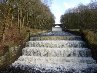 Waterfall bridge river forest nature - a river free wallpaper