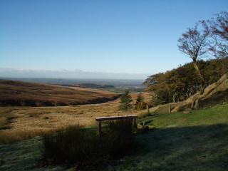 Bench hillside forest lush green - free landscape wallpaper