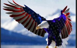 Bald eagle patriotic flag wings - patriotic free wallpaper