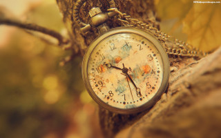 Pocket watch tree branch fall - a pocket watch free wallpaper