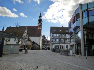 Bird sitting ground town square - a clock tower in the background free wallpaper