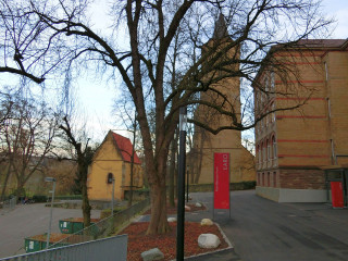 Street sign tree buildings background - a street sign free wallpaper