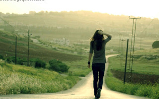 Woman skateboard dog road sunset - woman free wallpaper