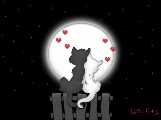 Cat dog fence hearts night - the night sky free wallpaper