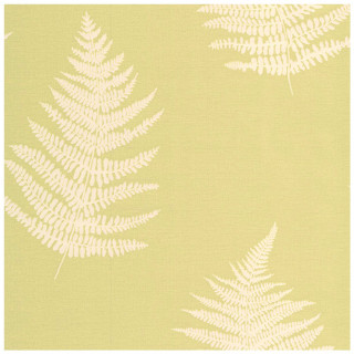 Green white wallpaper fern leaf - wallpaper free wallpaper for tablet