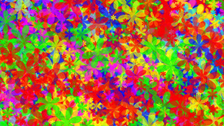 Colorful background flowers leaves vibrant - psychedelic free wallpaper