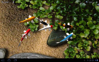 Lostfish fish pond plants rocks - lostfish free wallpaper for desktop