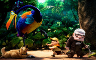 Cartoon character dog jungle bird - pixar and disney animation free wallpaper