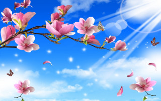 Pink flowers butterflies sky clouds - white cloud free wallpaper