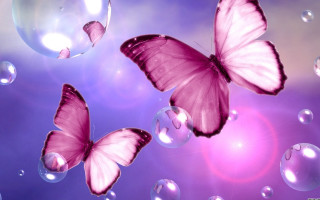Butterflies bubbles flying purple background - bubble free wallpaper for desktop