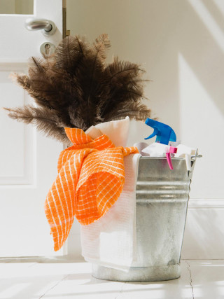 Bucket towel bird floor door - free bikini wallpaper