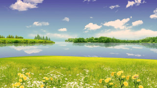 Beautiful green field flowers lake - bob ross free wallpaper for desktop