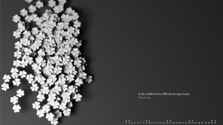 White flowers black background floral 2 - ambient occlusion free wallpaper