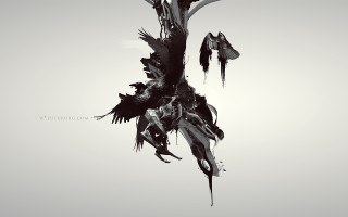 Black white bird flying gothic - photo of a bird free wallpaper