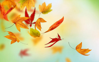 Flying leaves autumn blurry background - free autumn wallpaper