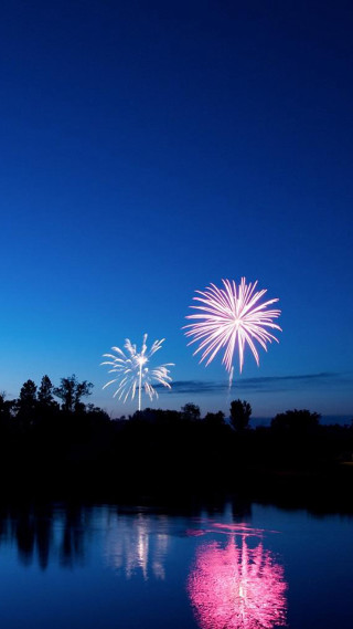 Fireworks display lake trees night - free new year wallpaper for mobile
