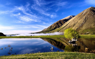 Lake mountains green field tree 2 - a tree in the foreground free wallpaper for desktop