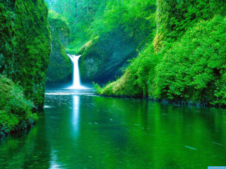 Waterfall green forest stream nature 6 - a green forest free wallpaper