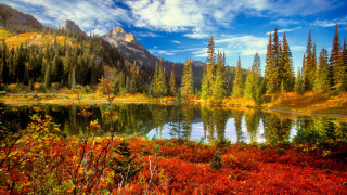 Mountain lake trees autumn flowers - a painting of a mountain lake free wallpaper