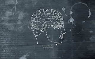 Brain map drawing head words - a wireframe diagram free wallpaper