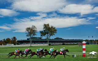 Horses racing track sky stadium - lyrical abstraction free wallpaper