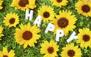 Happy field yellow flowers background - white letter free wallpaper