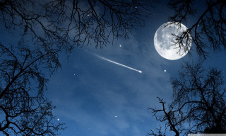 Plane flying night forest moon - night sky free wallpaper