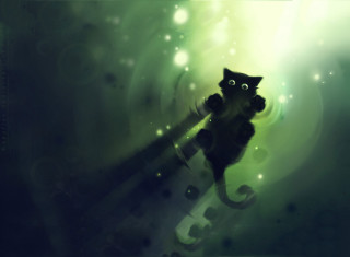Black cat green background bubbles - bubble free wallpaper for desktop