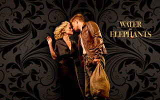 Man woman black background gold - david annand free wallpaper