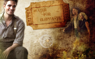 Old man bald beard mustache - free aesthetic wallpaper for desktop