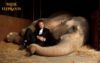 Man tuxedo elephant sitting crossed - a man in a tuxedo free wallpaper
