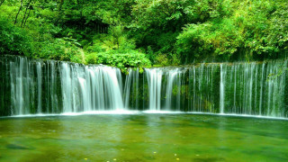 Waterfall green forest fish swimming - the middle of the picture free wallpaper for desktop