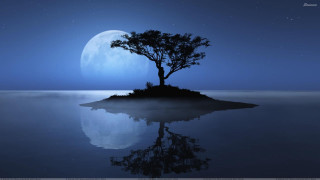 Tree island ocean night full 5 - moonlight free wallpaper for desktop