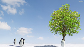 Three penguins tree snow sky - global illumination free wallpaper for desktop