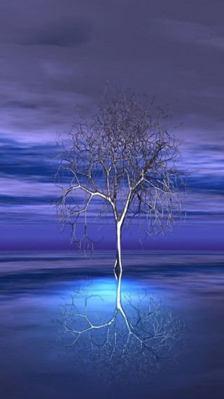 Lone tree reflection water nighttime - reflective free wallpaper for mobile