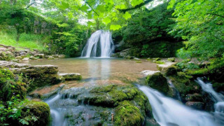 Waterfall forest stream rocks trees - the center of the picture free wallpaper for desktop