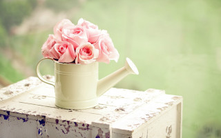 Watering can pink roses outside - a table outside free wallpaper