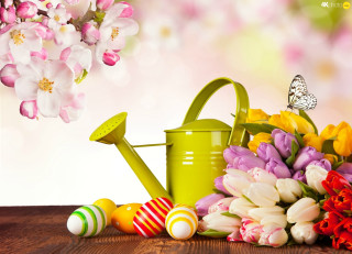 Watering can flowers easter eggs - a bouquet of flowers free wallpaper for desktop