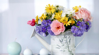 Watering can flowers eggs candles - annabel kidston free wallpaper