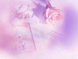 Pink rose church card rose - pastell free wallpaper